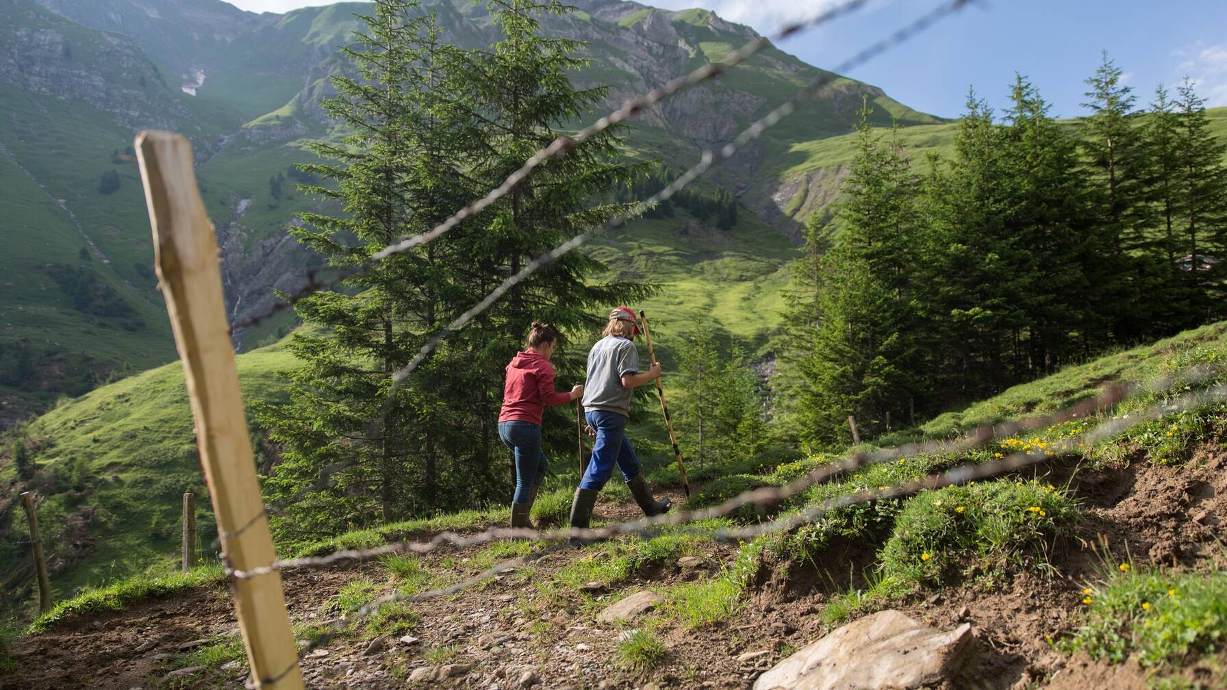 Départ pour la mise en place des clôtures avec l’agriculteur.  