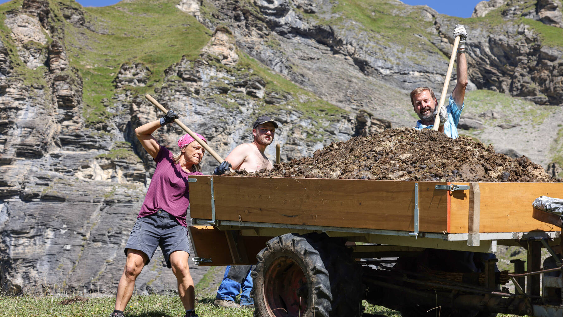 Sur les terrains escarpés, le fumier est souvent évacué à la main et est utilisé pour fertiliser les pâturages.