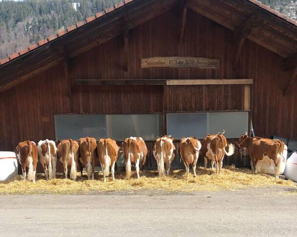 Saxeten Bern, Berner Oberland, Saxeten | Caritas-Bergeinsatz
