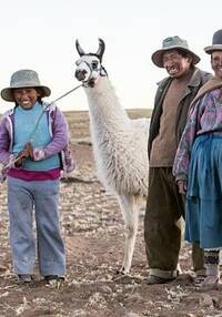 Sechsköpfige Familie in den Anden mit zwei Lamas.